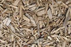 biomass boilers Nybster